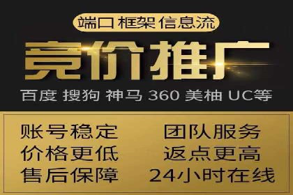 专业SEM服务公司案例分析报告